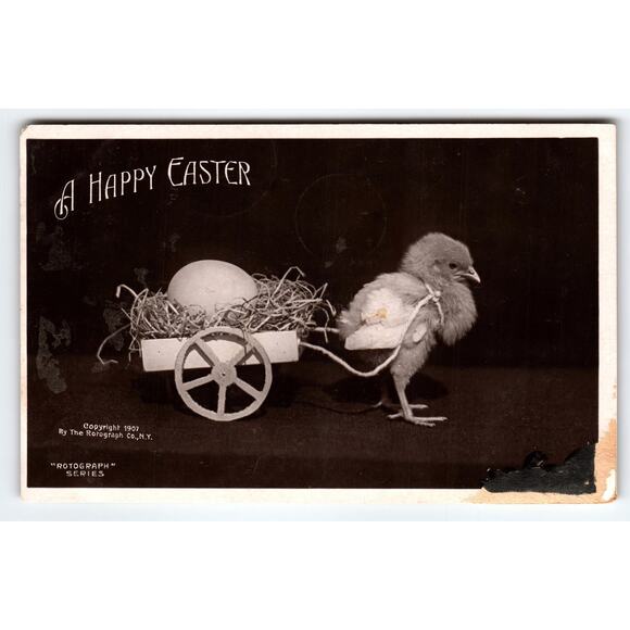 Vintage 1907 Easter Real Photo Postcard Chick Pulling Egg Cart - Picture 1 of 2